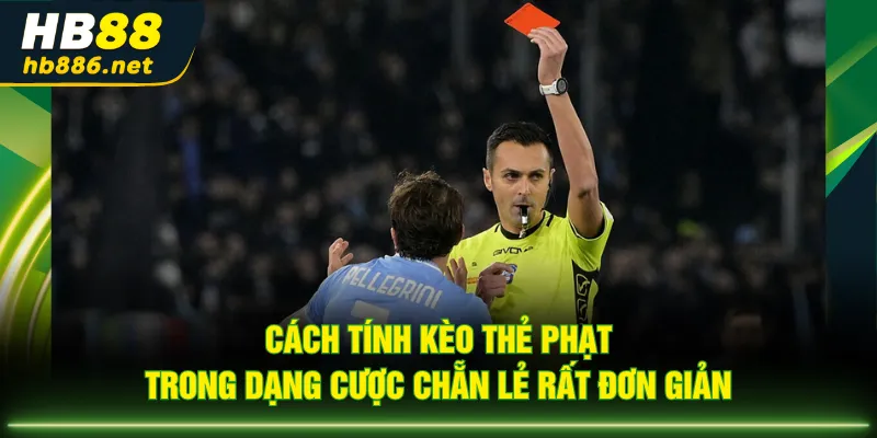 Cách tính kèo thẻ phạt trong dạng cược chẵn lẻ rất đơn giản