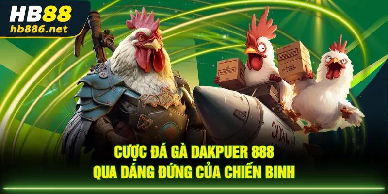 Cược đá gà Dakpuer 888 qua dáng đứng của chiến binh