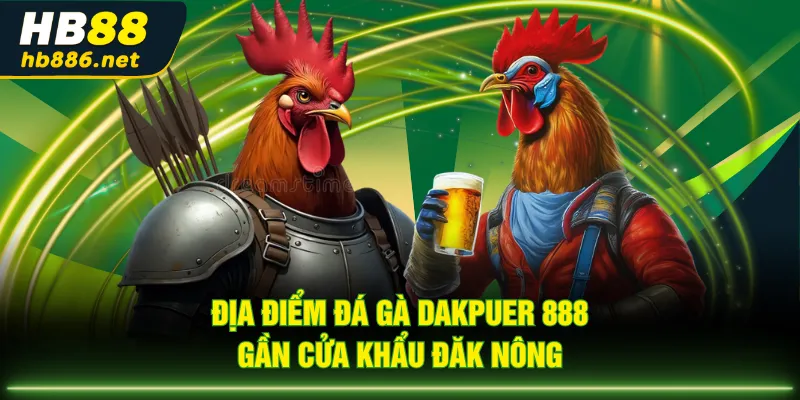 Địa điểm đá gà Dakpuer 888 gần cửa khẩu Đăk Nông