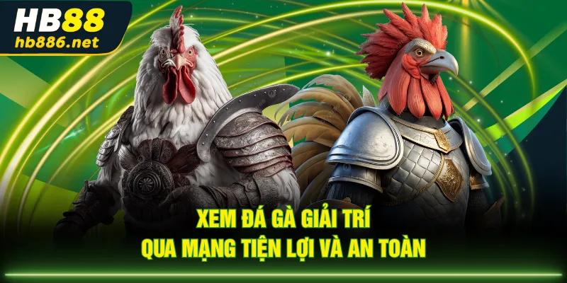 Xem đá gà giải trí qua mạng tiện lợi và an toàn